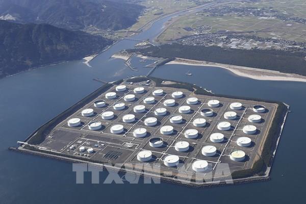 Biến số "vàng đen”