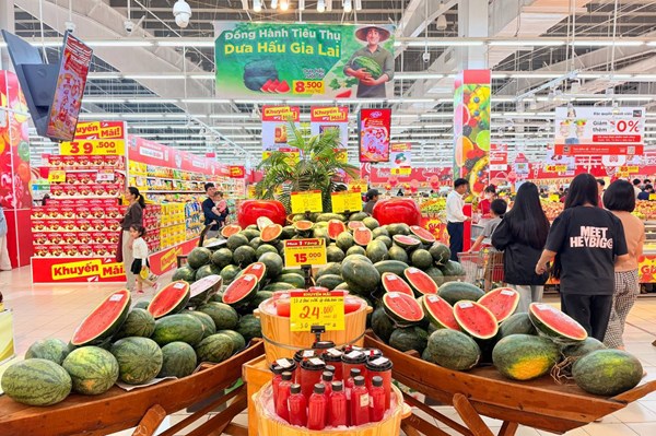 Central Retail Việt Nam bán dưa hấu không lợi nhuận hỗ trợ nông dân tỉnh Gia Lai