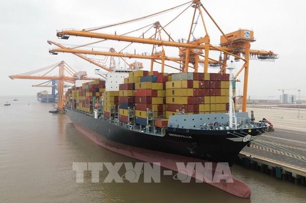 Các doanh nghiệp logistics điều chỉnh để thích ứng với biến động giá xăng dầu