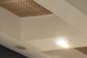 120 tác phẩm vào chung khảo cuộc thi Tìm kiếm gương mặt Đại sứ xanh Quốc gia 2025-2026