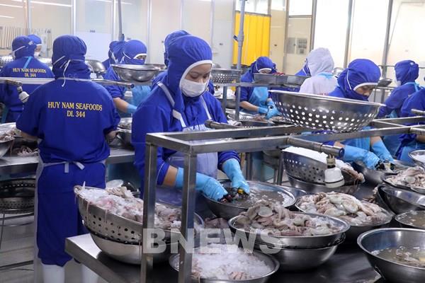 An Giang chuyển đổi xanh để mở rộng thị trường xuất khẩu