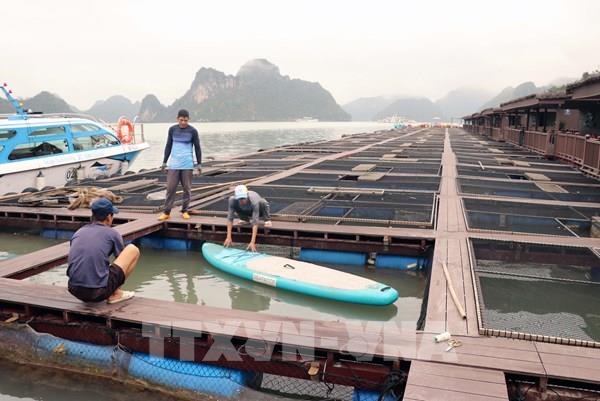 Bộ Nông nghiệp và Môi trường công bố 277 thủ tục hành chính