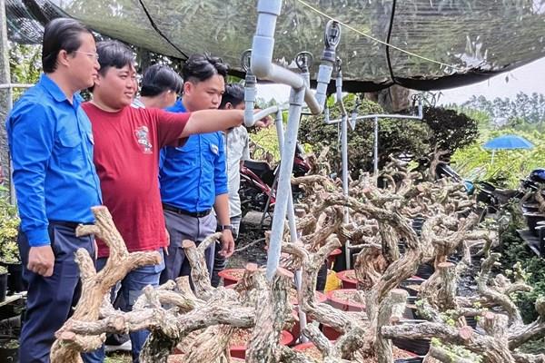 Đồng Tháp tạo hệ sinh thái sáng tạo cho thanh niên khởi nghiệp