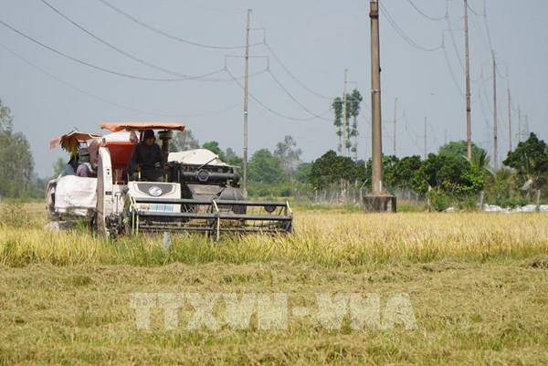 Drone và công nghệ số giúp nông dân Đồng Tháp tăng lợi nhuận