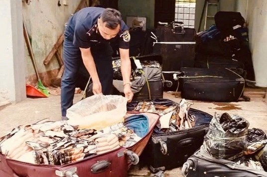 Ngăn chặn hơn 1,8 tấn thực phẩm đông lạnh nhập lậu tại biên giới phía Bắc