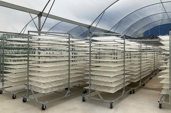 Doanh nghiệp Tây Nam Bộ “hợp lực” nâng cao cạnh tranh