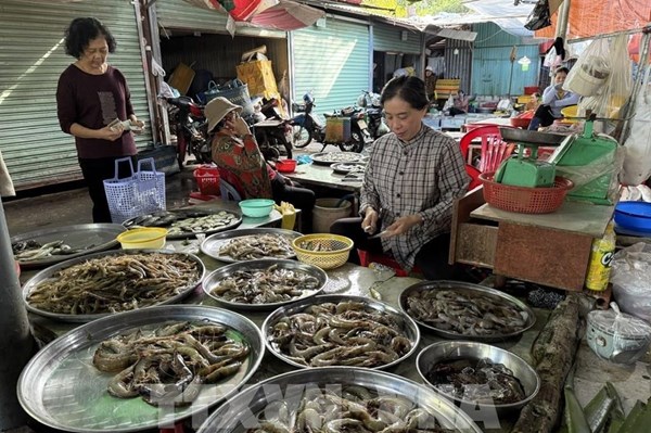 Chợ đầu mối TP. Hồ Chí Minh bình ổn giá giữa biến động chi phí