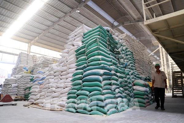 Xuất khẩu gạo gắn chặt với ổn định thị trường trong nước