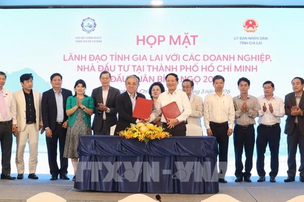 Gia Lai định hình các trụ cột tăng trưởng mới