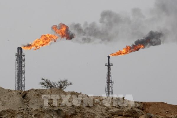 Các nhà máy lọc dầu châu Á xem xét nối lại mua hàng của Iran