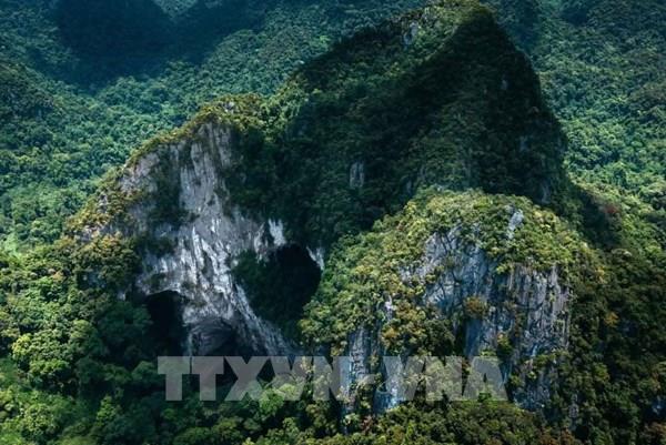 Kho báu sinh học chưa được khám phá giữa đại ngàn Trường Sơn