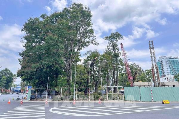 Cần Thơ di dời cây xanh, gỡ nút thắt dự án thư viện 150 tỷ