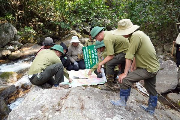 Một tuần 10 vụ phá rừng, tỉnh Lâm Đồng chỉ đạo kiên quyết xử lý cán bộ vi phạm