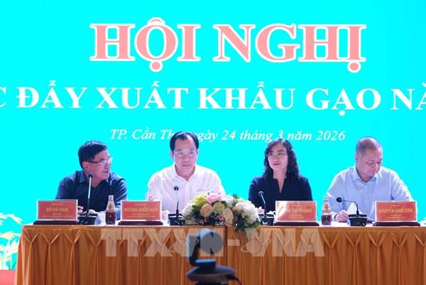 Gỡ nút thắt thương lái, thông dòng xuất khẩu gạo