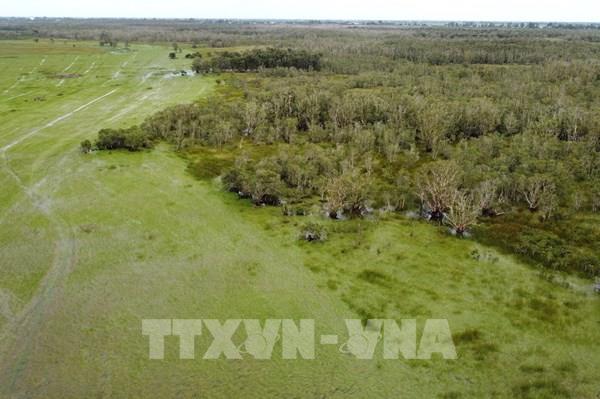 Phục hồi đất ngập nước: Nền tảng kinh tế xanh ĐBSCL