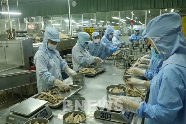 Hàng Việt trước yêu cầu mới: Không minh bạch, khó đi xa