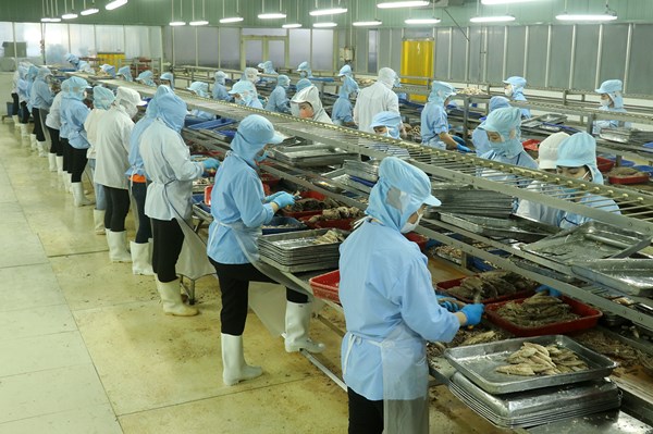 Doanh nghiệp xuất khẩu chủ động thích ứng biến động thị trường