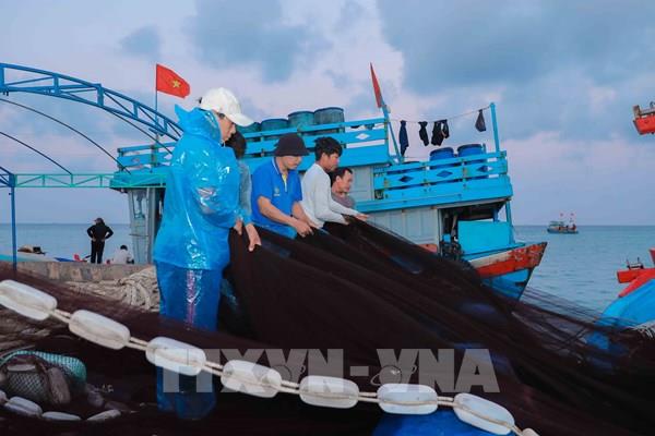 Số hóa hoạt động bảo tồn hệ sinh thái biển tại Lý Sơn