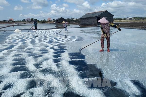 Muối trải bạt "lột xác" vùng nghèo, giá tăng mạnh