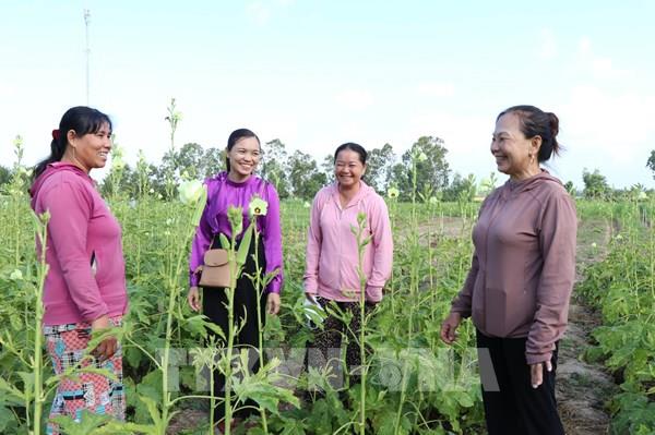 Vĩnh Long: Tín dụng chính sách "nuôi" sinh kế bền vững