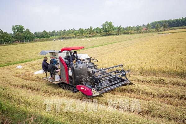 Tây Ninh đặt mục tiêu tăng trưởng hai con số giai đoạn 2026-2030