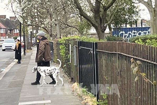 Thị trường thú cưng Anh hạ nhiệt sau “thập kỷ vàng”