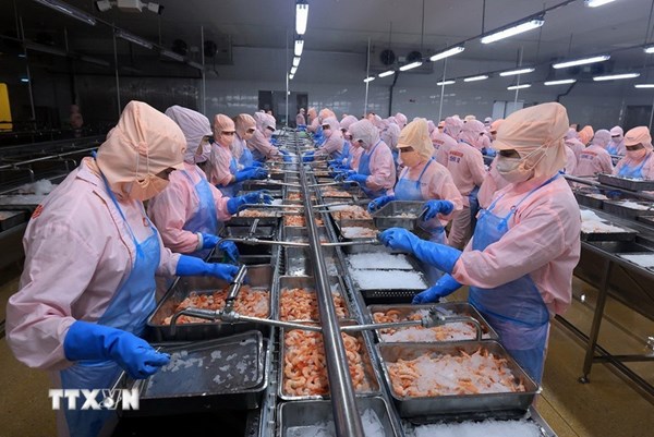 Để kinh tế tư nhân thành đòn bẩy cho đất “ 9 Rồng”