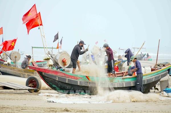 Trúng đậm mùa cá trích, ngư dân phấn khởi vươn khơi