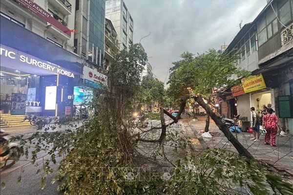 Lý giải hiện tượng dông lốc, mưa đá và gió giật xảy ra liên tục