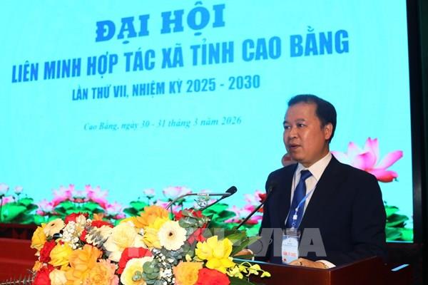 Xây dựng sản phẩm của các hợp tác xã đạt tiêu chuẩn đủ điều kiện xuất khẩu