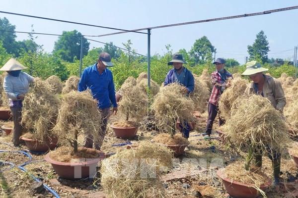 An ninh năng lượng: Linh hoạt chuyển đổi mô hình sản xuất nông nghiệp