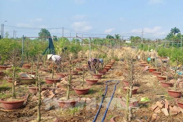 Gỡ “điểm nghẽn” vốn thúc đẩy hợp tác xã phát triển