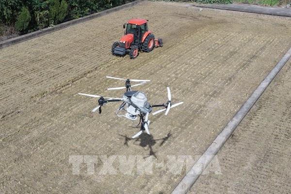 Từ cú sốc toàn cầu đến nâng tầm nội lực - Bài cuối: Nông nghiệp thế giới trước nguy cơ thiếu hụt phân bón