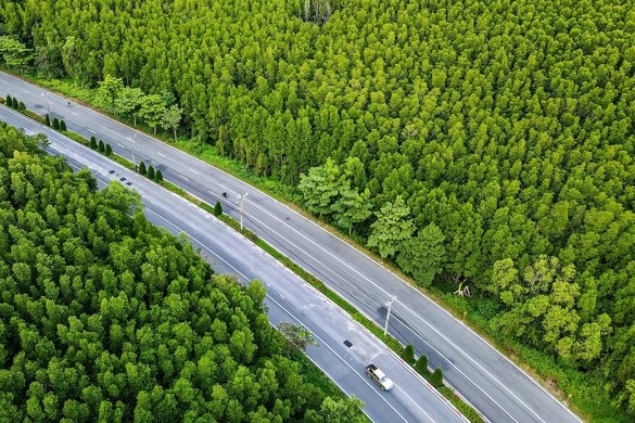 Đề xuất mở rộng 35 km đường Rừng Sác theo phương thức đối tác công tư