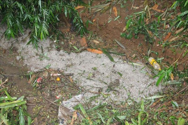 Chủ động ứng phó dông, lốc, sét, mưa đá trong thời kỳ chuyển mùa