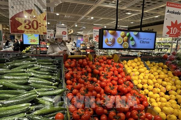 Châu Âu đối mặt với lạm phát cao do xung đột Trung Đông