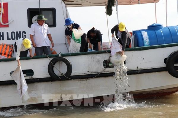 Vĩnh Long chung tay phục hồi nguồn lợi thủy sản