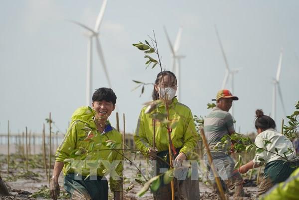 Hợp tác trồng 240.000 cây xanh tại Đồng bằng sông Cửu Long