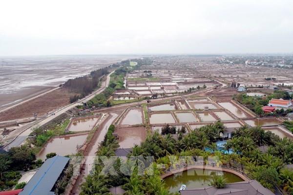 Khu kinh tế tự do Hưng Yên - Bài 1: Từ ruộng đồng đến “phòng thí nghiệm” chính sách