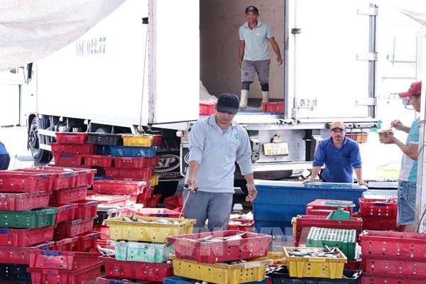 Tăng truy xuất nguồn gốc thủy sản khai thác điện tử