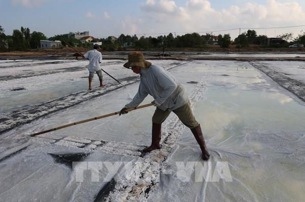 Nâng tầm giá trị hạt muối, gỡ khó cho diêm dân