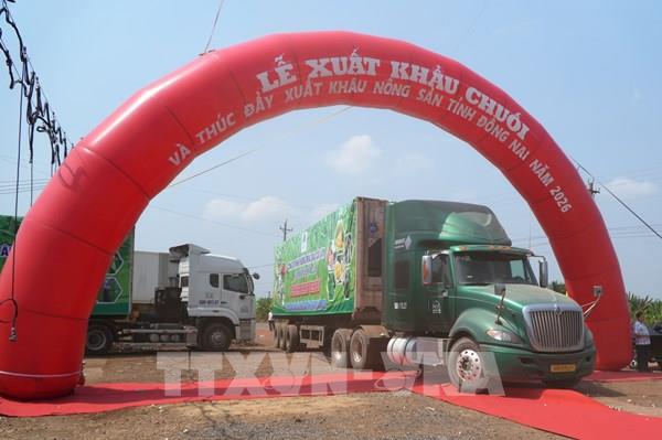 Đồng Nai xuất khẩu 220 tấn chuối ra các thị trường quốc tế
