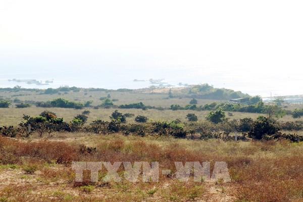 Đào tạo và cung ứng nguồn nhân lực cho ngành điện hạt nhân