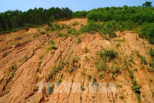 Quảng Ngãi: Điểm sạt lở nguy hiểm trên đường ĐH74 chờ vốn khắc phục khẩn cấp