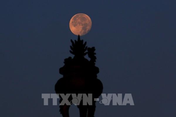 Ánh trăng lặn muộn nhuộm vẻ thơ mộng trên bầu trời Cần Thơ