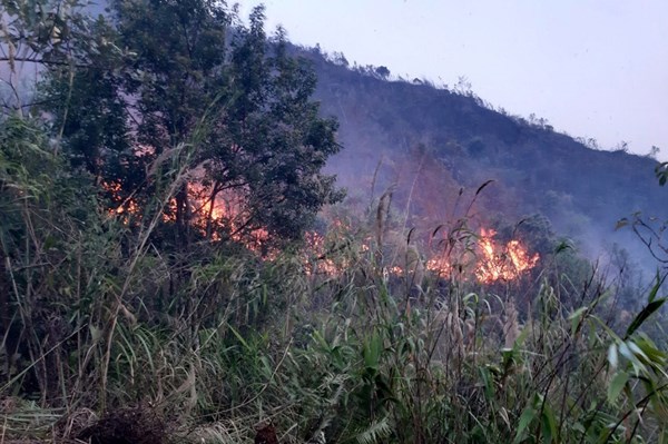 Điện Biên siết chặt phòng cháy rừng, dừng đốt nương