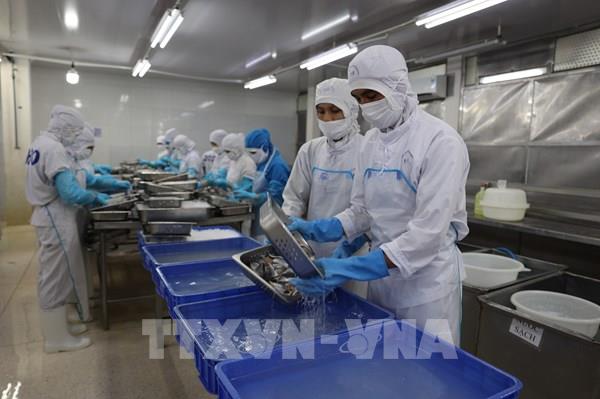 Công nghiệp TP. Hồ Chí Minh tăng trưởng nhưng vẫn chịu áp lực chi phí sản xuất