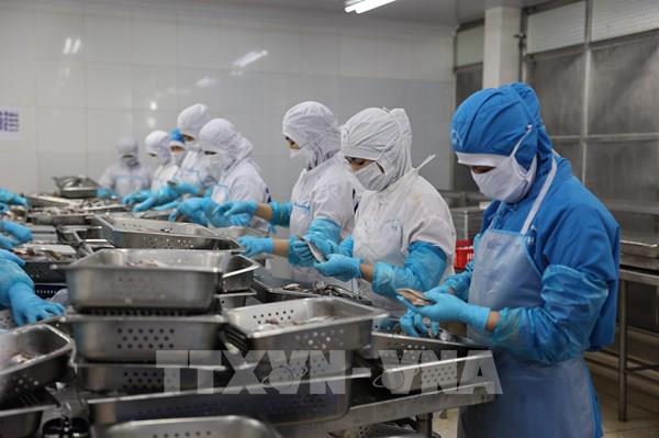 Doanh nghiệp thủy sản TP. Hồ Chí Minh chủ động thích ứng trước khó khăn