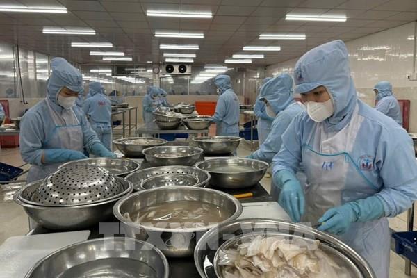 Vasep khuyến nghị doanh nghiệp thủy sản sau cảnh báo về sở hữu trí tuệ từ Hoa Kỳ