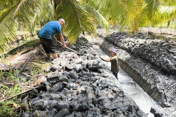 Nông dân linh hoạt "né mặn” trong cao điểm mùa khô
